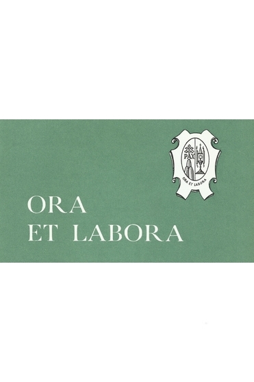 L&#39;abbandono e il quotidiano